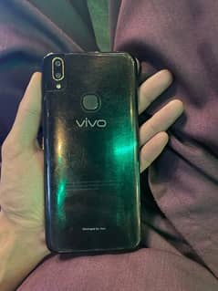 vivo