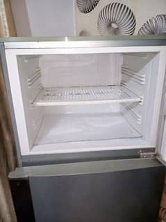 pel fridge for sale. . .