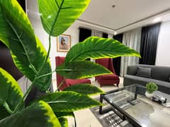 Luxurious Comfort furnished two bed appartment for rent only family