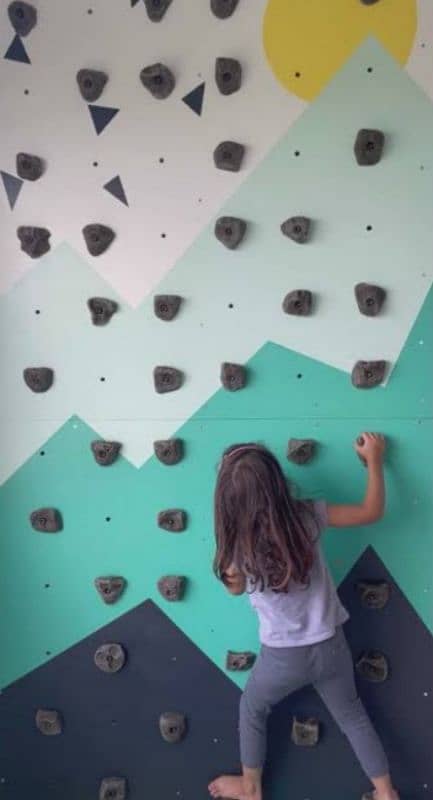 wall climbing/ Rock/ Mountain climbing Holds/Mounts with pega board 5