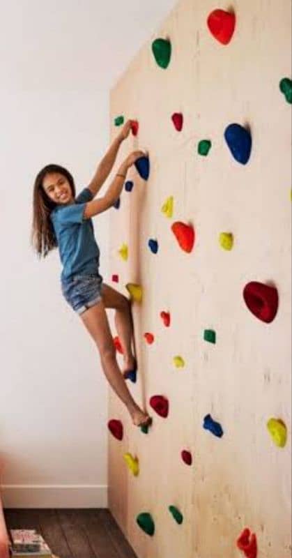 wall climbing/ Rock/ Mountain climbing Holds/Mounts with pega board 6