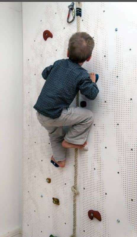 wall climbing/ Rock/ Mountain climbing Holds/Mounts with pega board 8