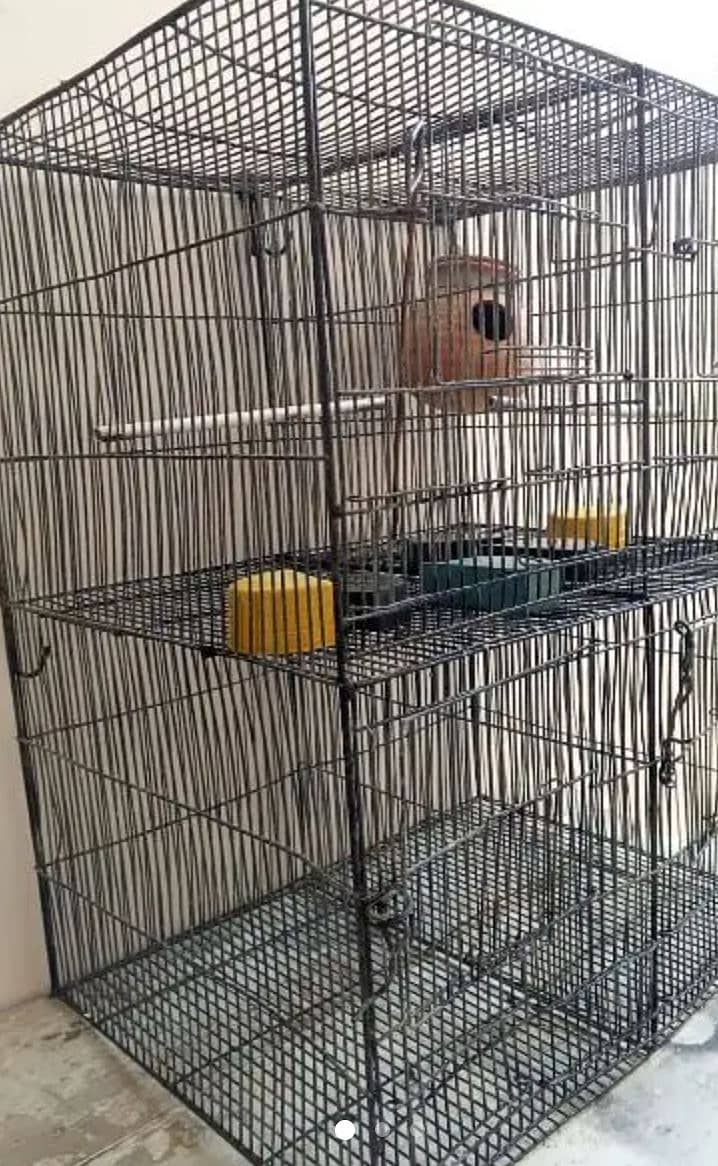 Cage / bird / hens/ rabbits/ cats 1