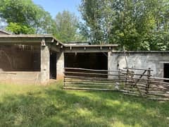 DAIRY FARM FOR RENT