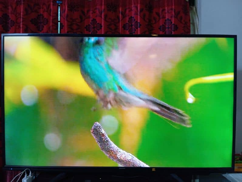 4K UHD 65" Android TV 1