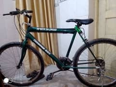 champion bike. 6 rear gears,4 front gears contact 03100553649