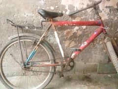 cycle for sale in chaina sakeem