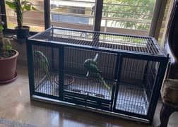 Parrot cage height 2 feet , width 4 feet , depth 2 feet