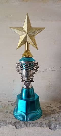 cricket Trophy new condition