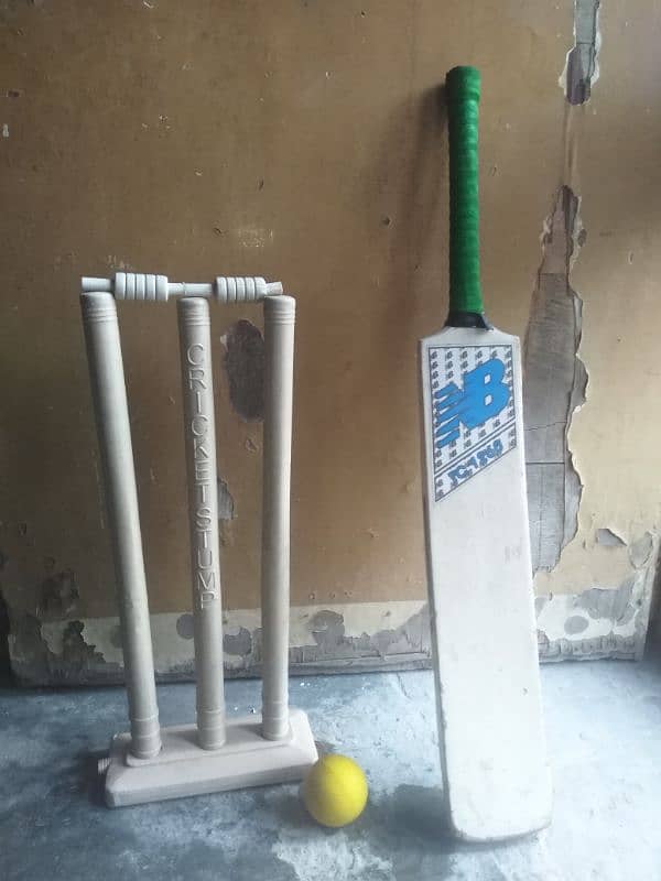 Cricket set(wicket and ball and cricket bat 0