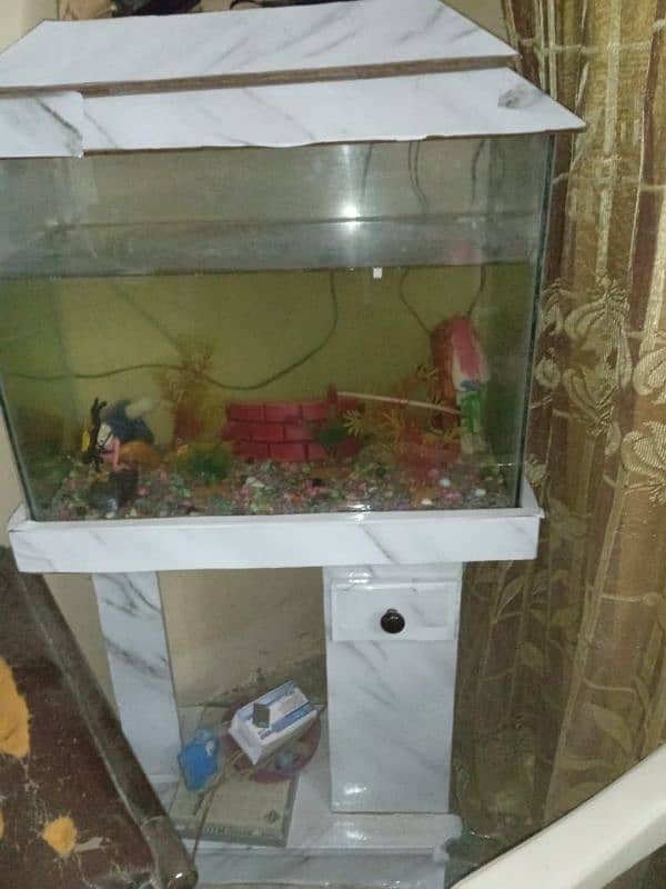 selling my  fishes with aquarium in good condition. . . 2