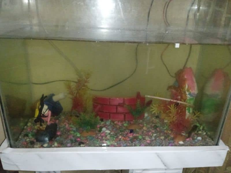 selling my  fishes with aquarium in good condition. . . 3