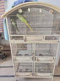 Raw kashmiri jumbo size and Cages sell