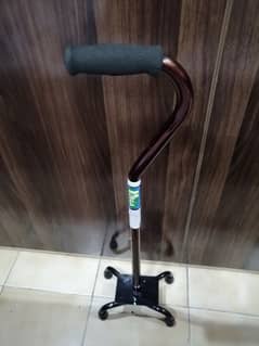 Elderly walking cane (stick)