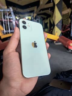 iphone 12 full genuine 10by10