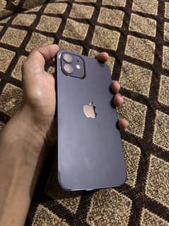 i phone 12