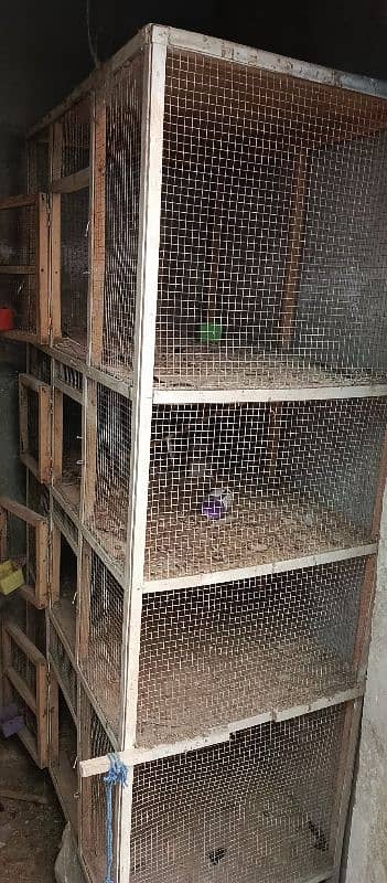 cage for hens and birds 0