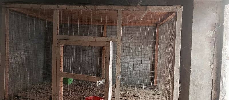 cage for hens and birds 1