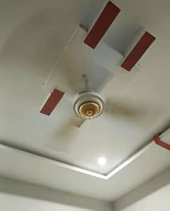 DC AC Fan Copper