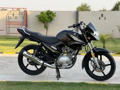 Yamaha YBR 125 2022 model 0