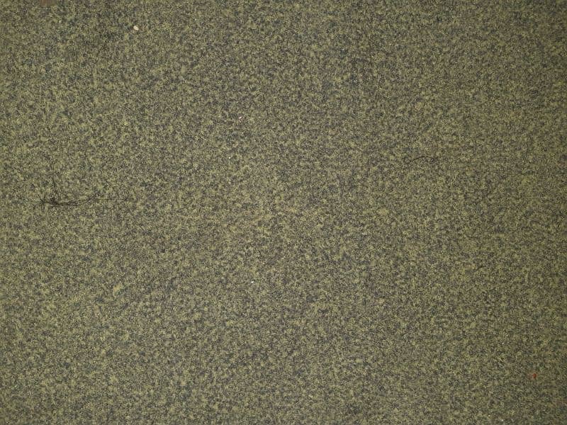 Room Carpet 1