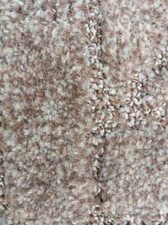 Carpet 12x16