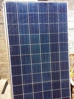 Solar Panel panel 300 & 310 watt