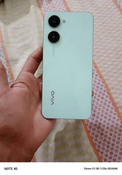 Vivo