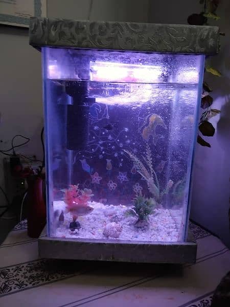 Beautiful Aquarium small size for sale 1