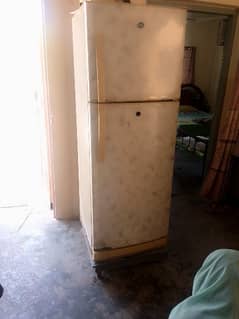 pel fridge for sale