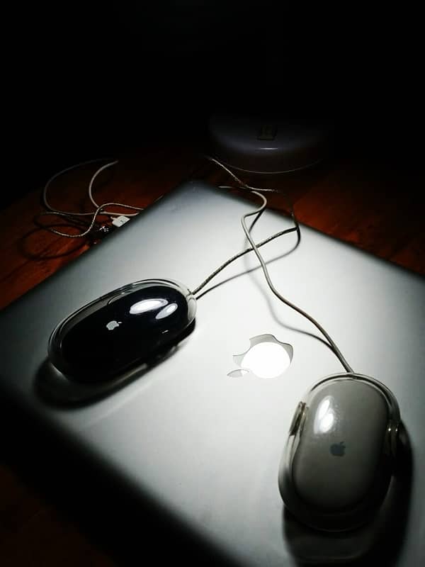 apple mouse 1