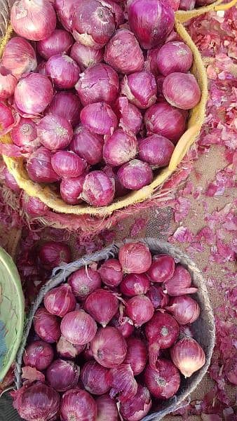 potatoes and onions exports services 16