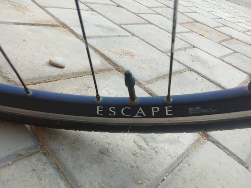 Giant Escape 4