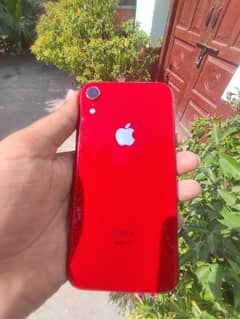 iPhone XR Waterpack