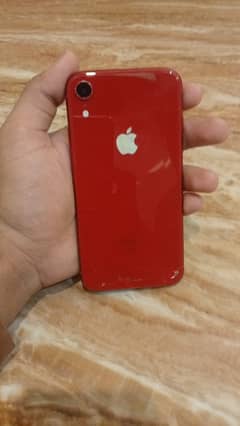 iPhone  XR  non pta e sim chalni  ha