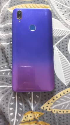 vivo