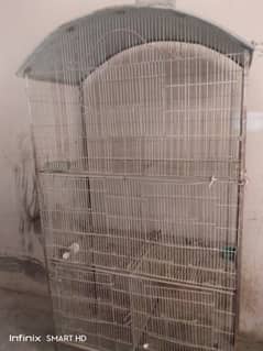 Birds cage