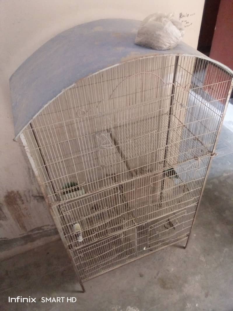 Birds cage 2