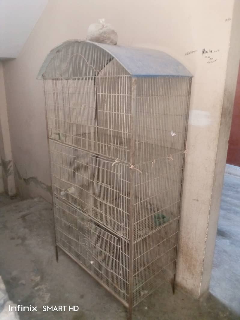 Birds cage 6