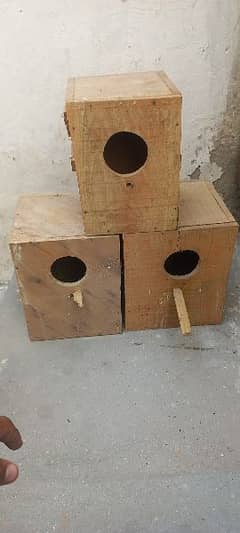 lovebirds Box for sale 3 Box  03198528172