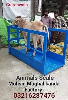 Animal Scale Cow Kanda Vara Weight Bakra Computer Digital Vasha kanda