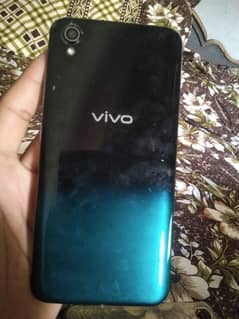 Vivo