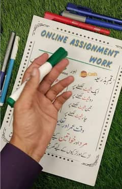 Handwritten Assignment Content Writing And Typing Work Available