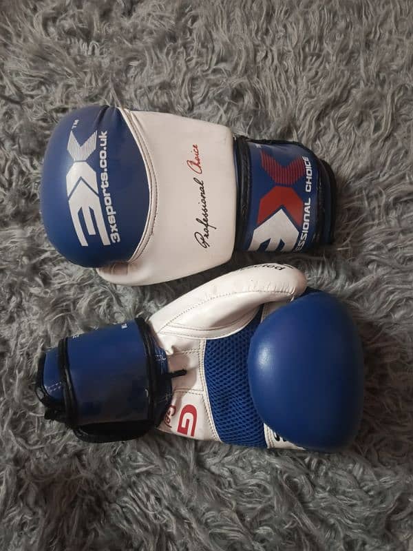 imported boxing gloves 2