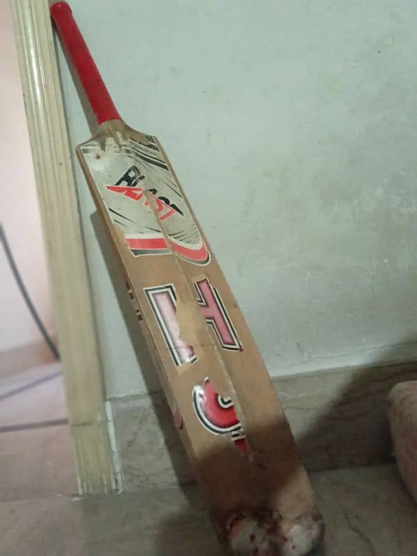 Bat/Sports Equipment/Hard ball bat 1