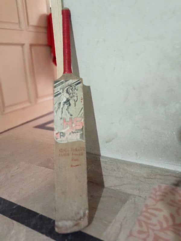 Bat/Sports Equipment/Hard ball bat 2