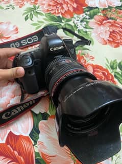 Canon 6D