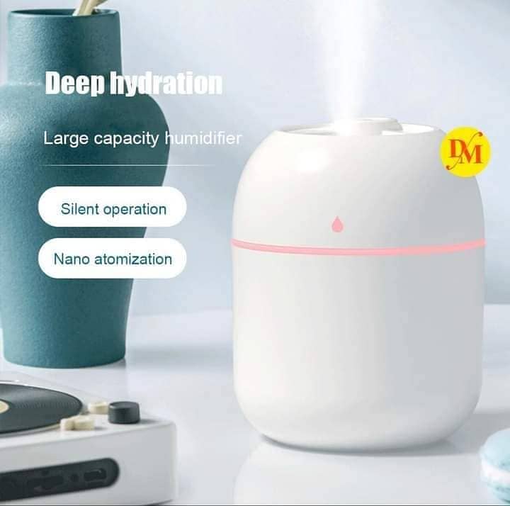 Mist Spray Humidifier 3