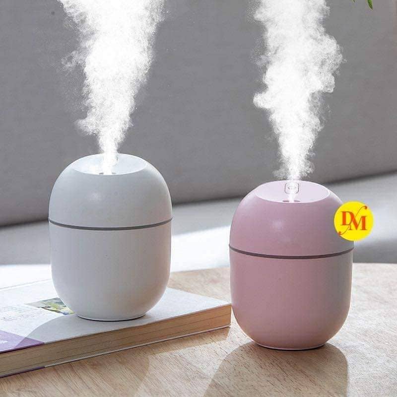 Mist Spray Humidifier 4