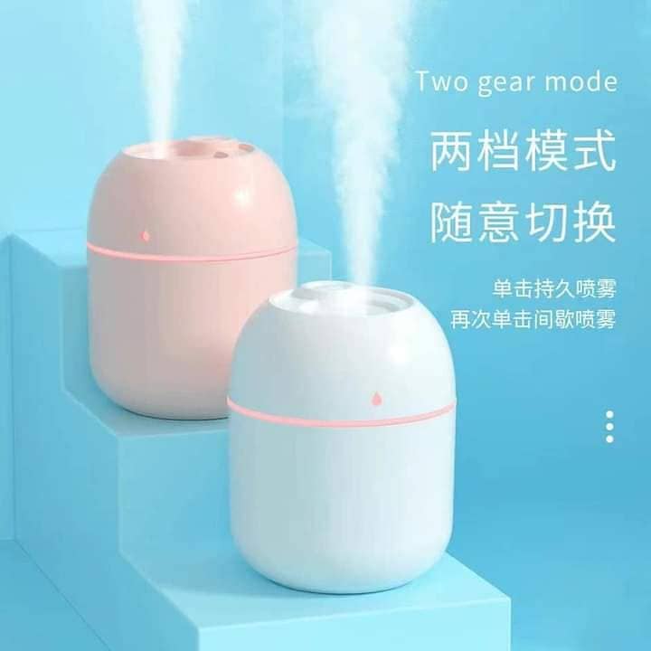 Mist Spray Humidifier 5